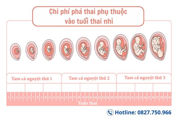 Chi phí phá thai ở Đà Nẵng phụ thuộc vào độ tuổi của thai nhi