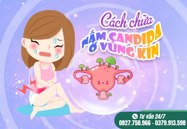 Cách chữa nấm cadida ở vùng kín