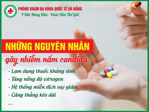 Nguyên nhân gây  nấm ở vùng kín